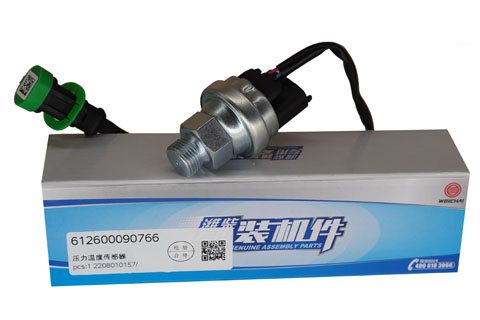 Pressure Temperature Sensor